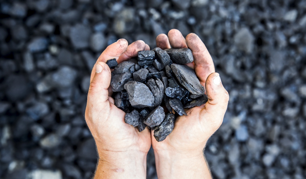 Каменный уголь в  руках у мужчины