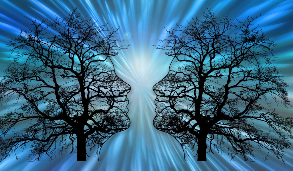 Два силуэта на опавших деревьях