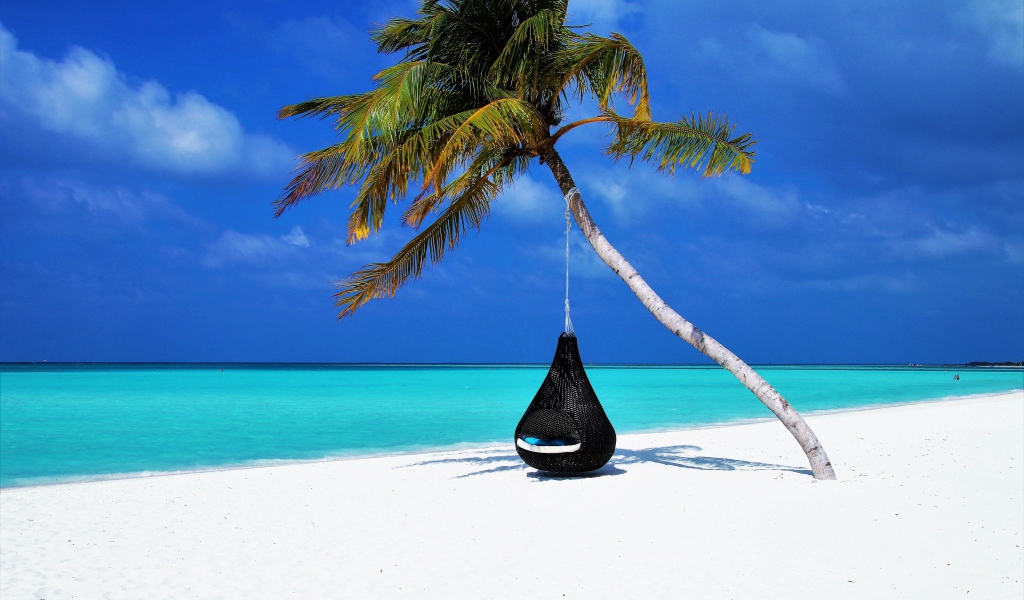 Черное кресло на пальме на тропическом пляже с белыми песком
