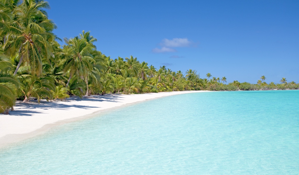 Чистый тропический пляж с голубой водой 