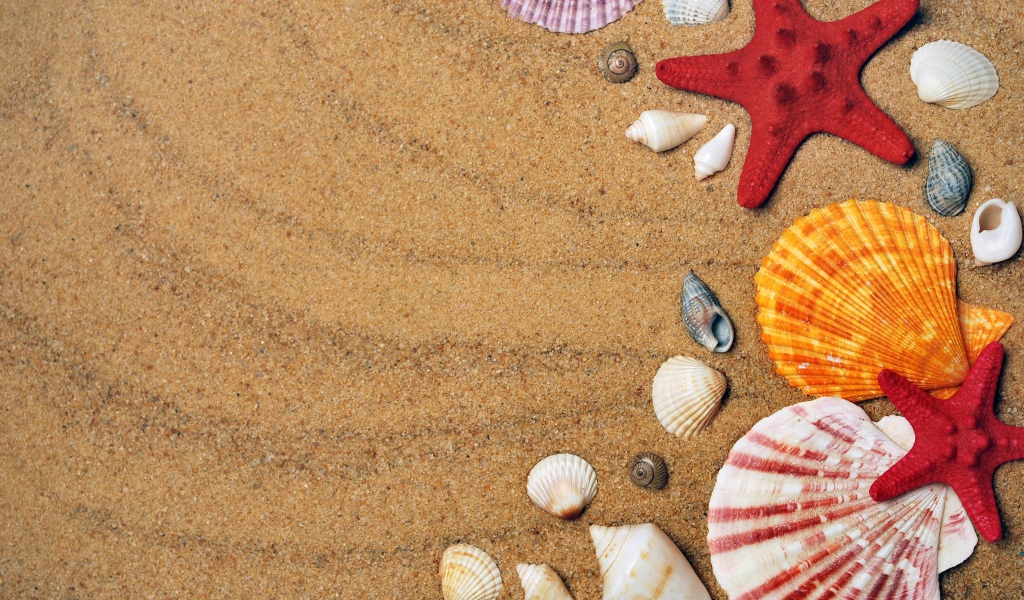 Разноцветные ракушки и морские звезды на песке 