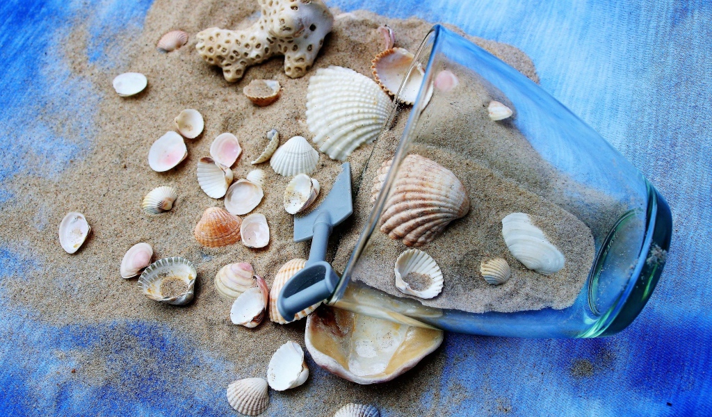 Морские ракушки и чашка с песком на пляже 