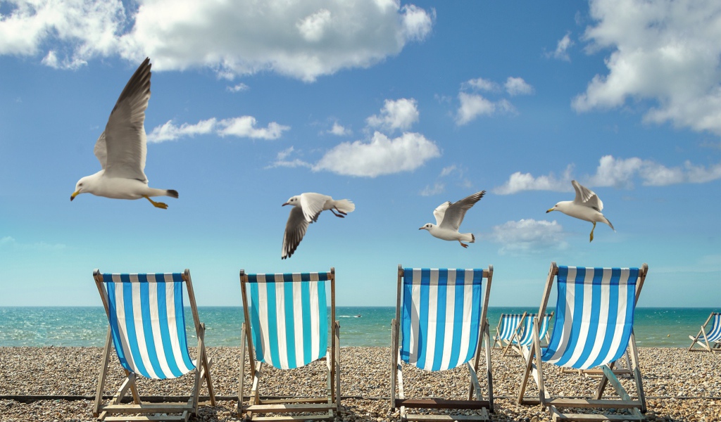 Шезлонги стоят на желтом песке у моря