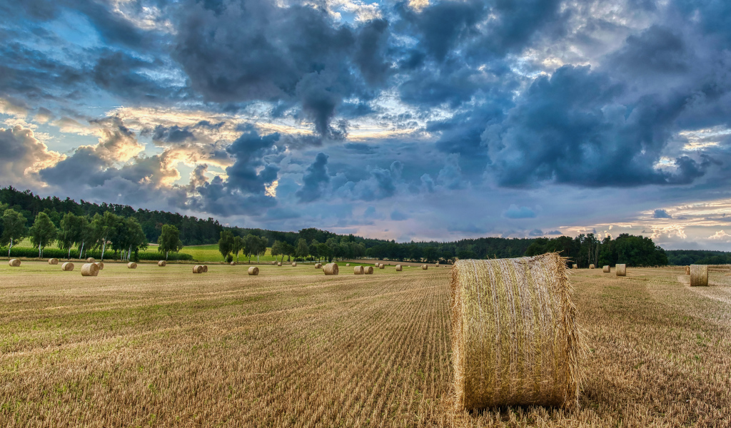 Сноп сена на поле под красивым грозовым небом 