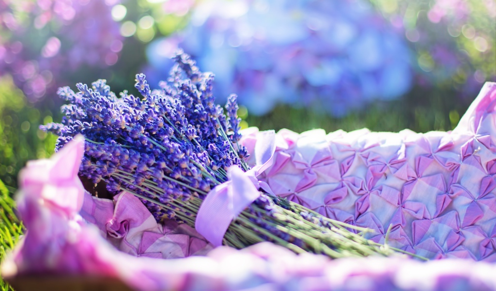 Букет ароматной лаванды в лучах солнца