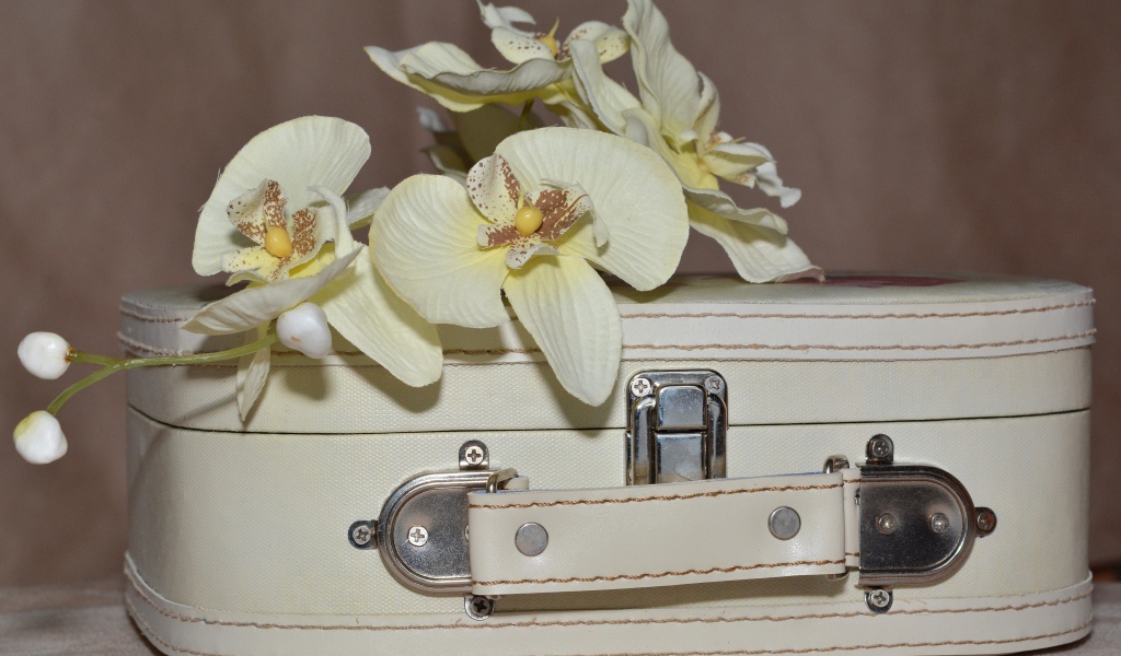 Ветка цветов орхидеи лежит на белом чемодане