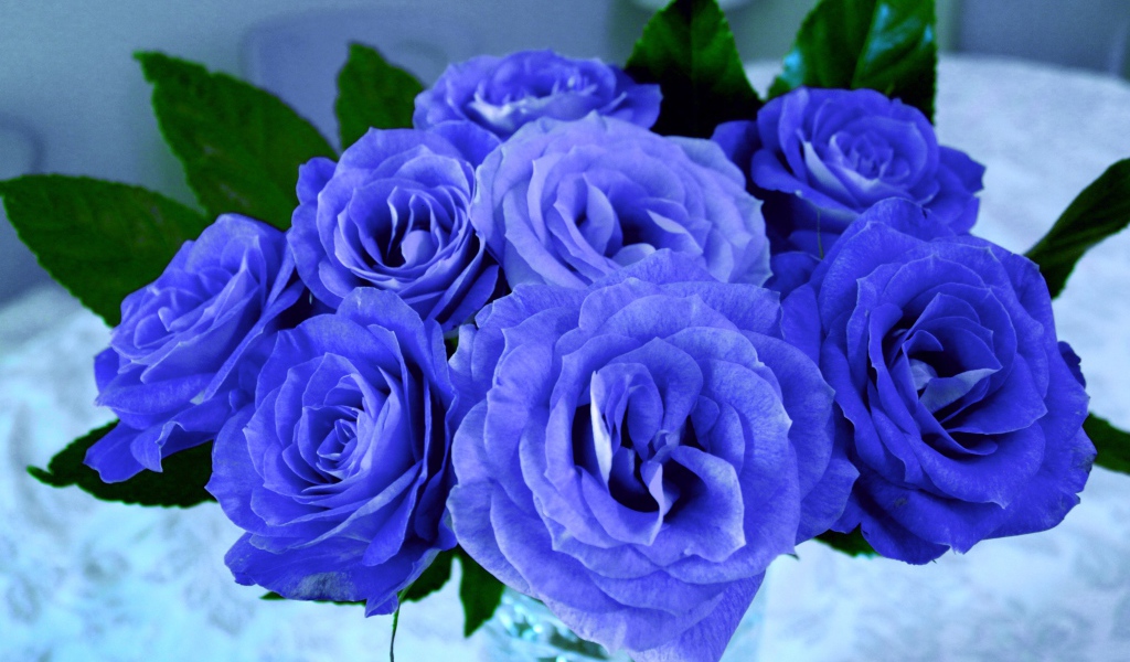 Красивый букет синих роз крупным планом