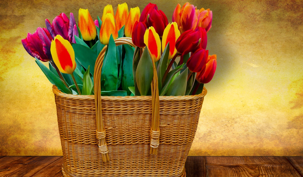 Красивый букет тюльпанов в корзине на фоне стены