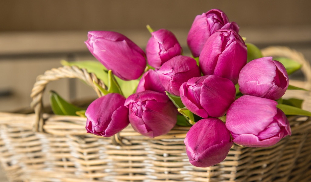 Букет красивых розовых тюльпанов в корзине на столе