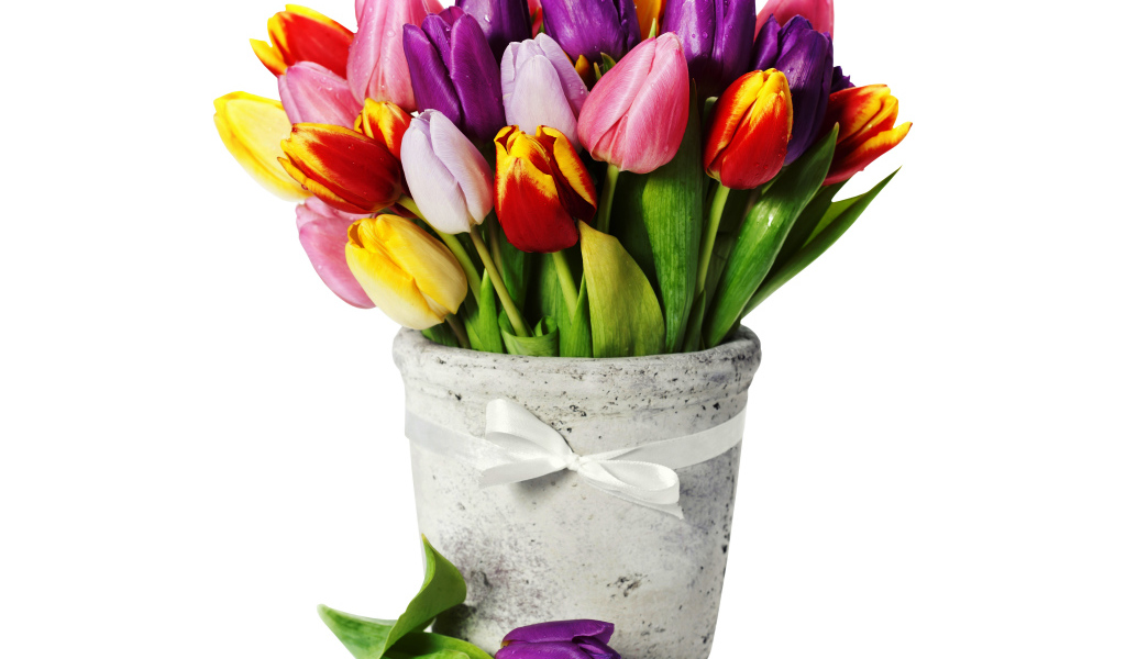Букет разноцветных тюльпанов в вазе на белом фоне