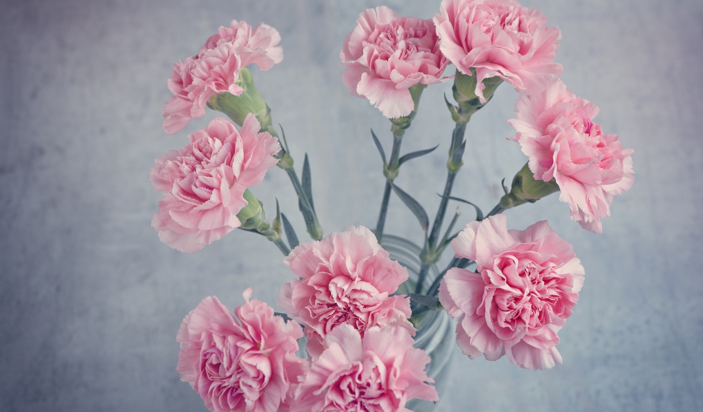 Букет розовых гвоздик в вазе на столе