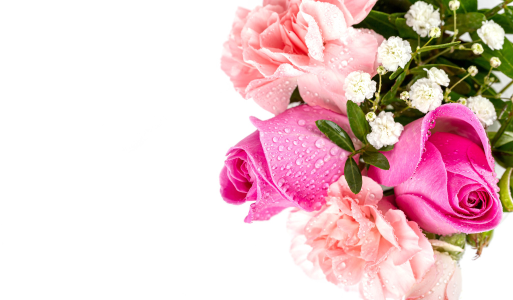 Букет розовых роз с гвоздиками в каплях росы на белом фоне