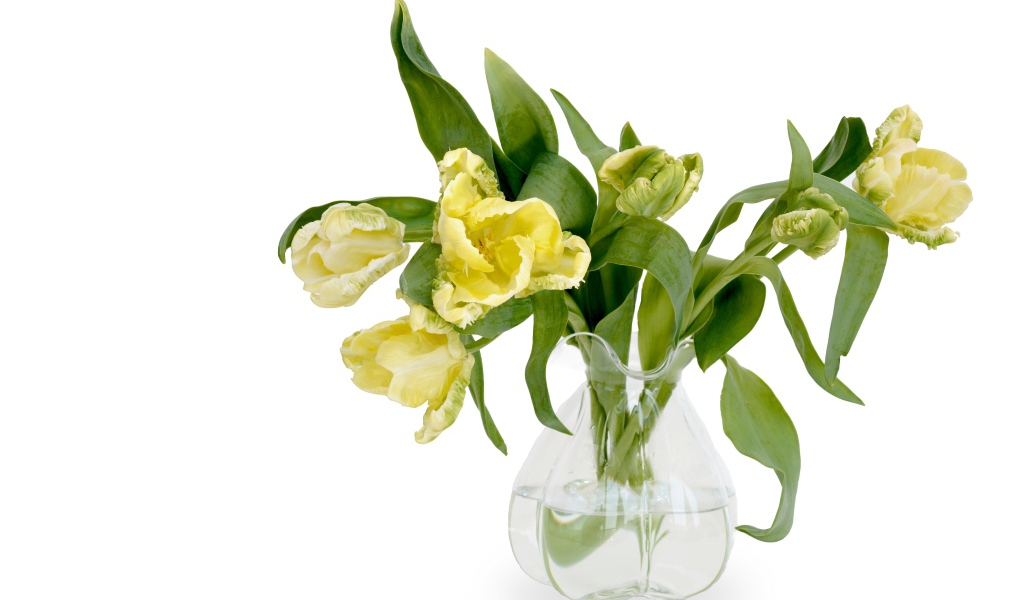 Букет необычных желтых тюльпанов в стеклянной вазе