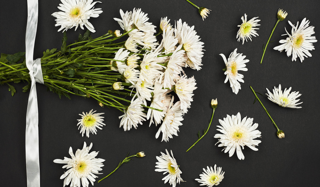 Букет белых хризантем на черном фоне