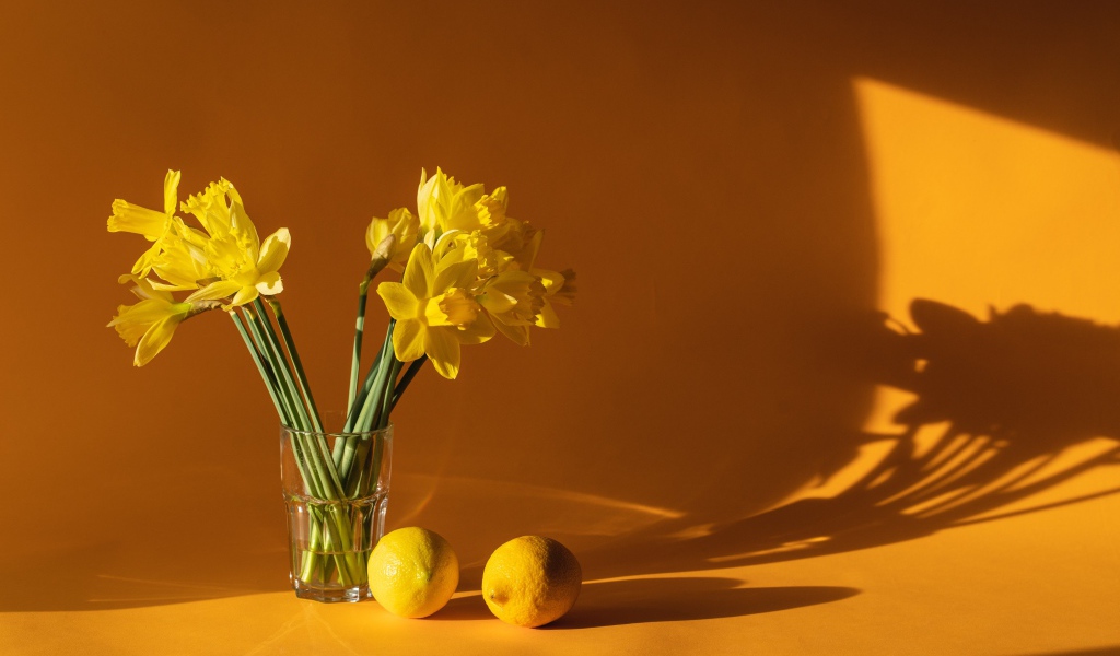 Букет желтых нарциссов с лимонами на столе