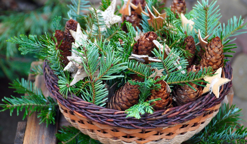 Шишки с ветками ели в корзине 