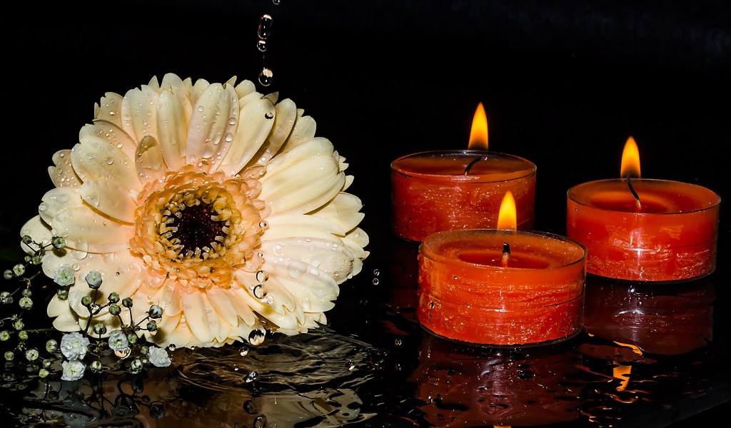 Кремовая гербера со свечами на мокром столе
