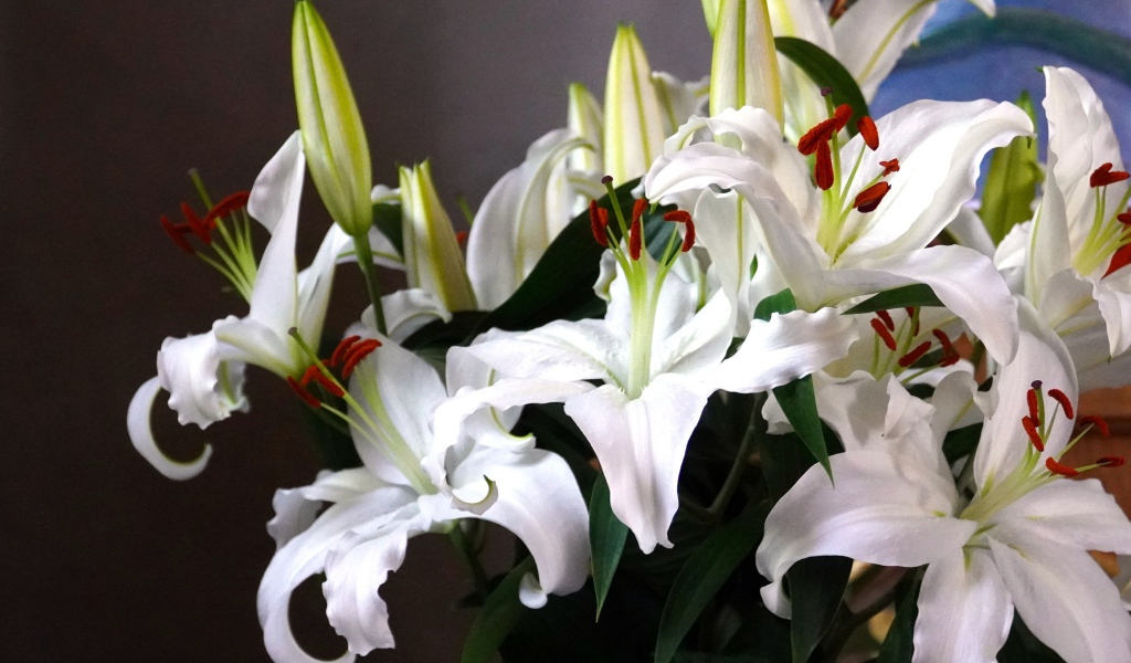 Нежный букет белых лилий с бутонами