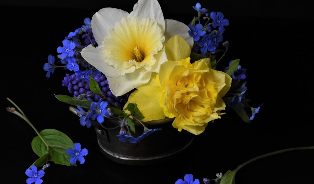 Цветы нарцисса с цветами незабудки в вазе на черном фоне