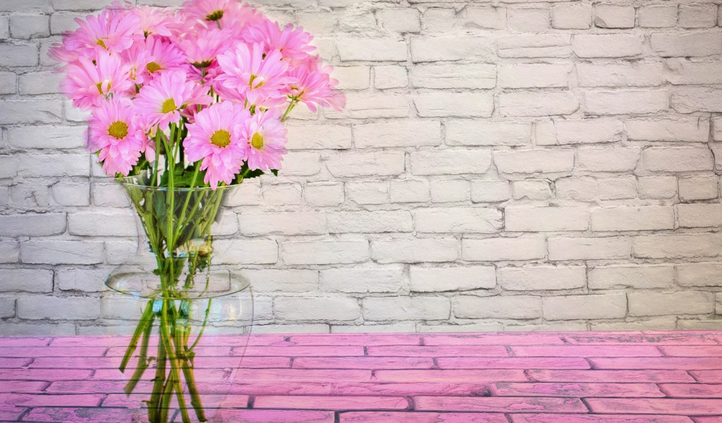 Розовые цветы хризантемы в стеклянной вазе на фоне стены