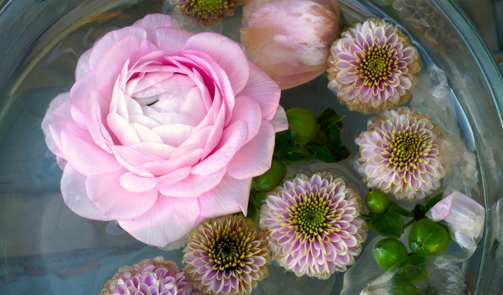 Розовая роза с хризантемами в воде