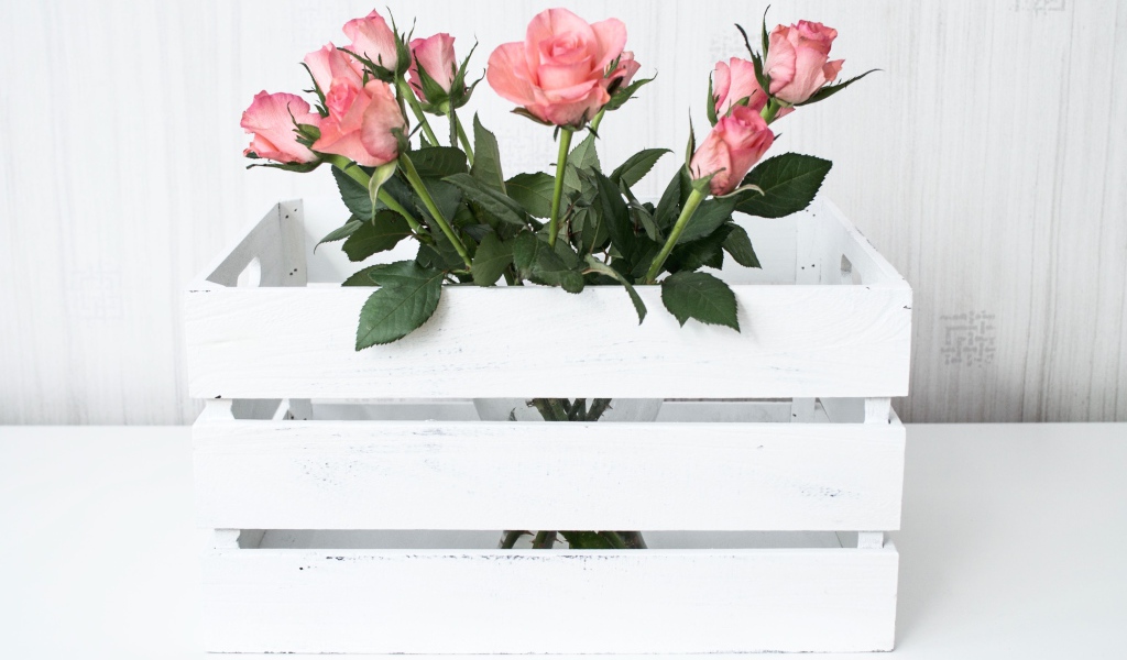 Розовые розы в белом деревянном ящике
