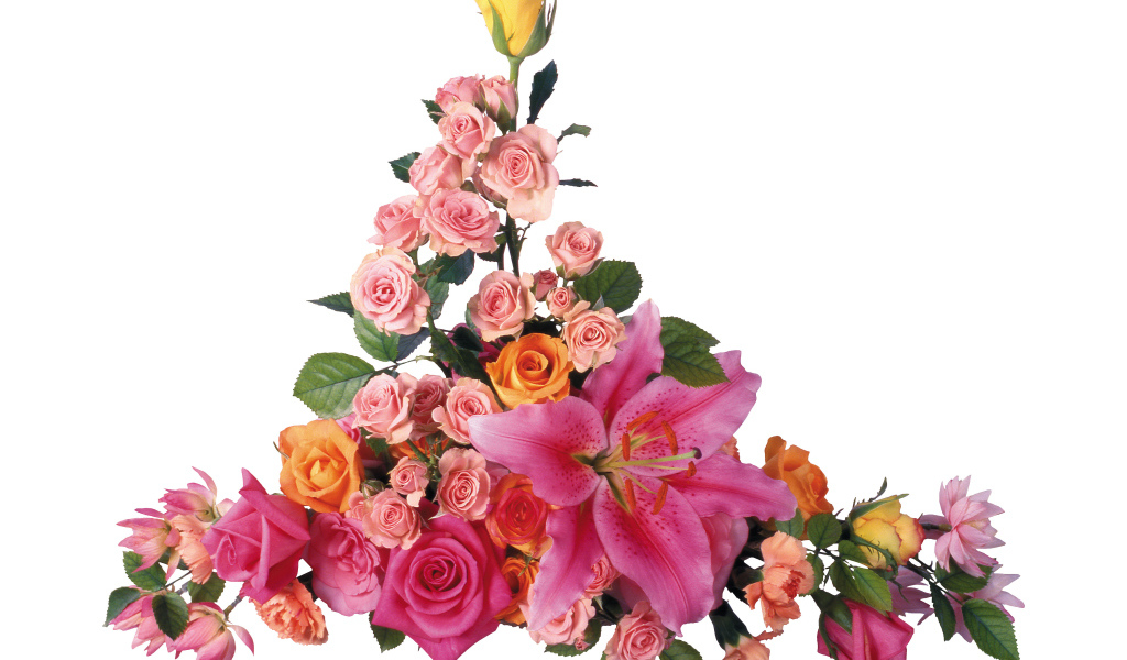 Розовые розы с лилиями на белом фоне 