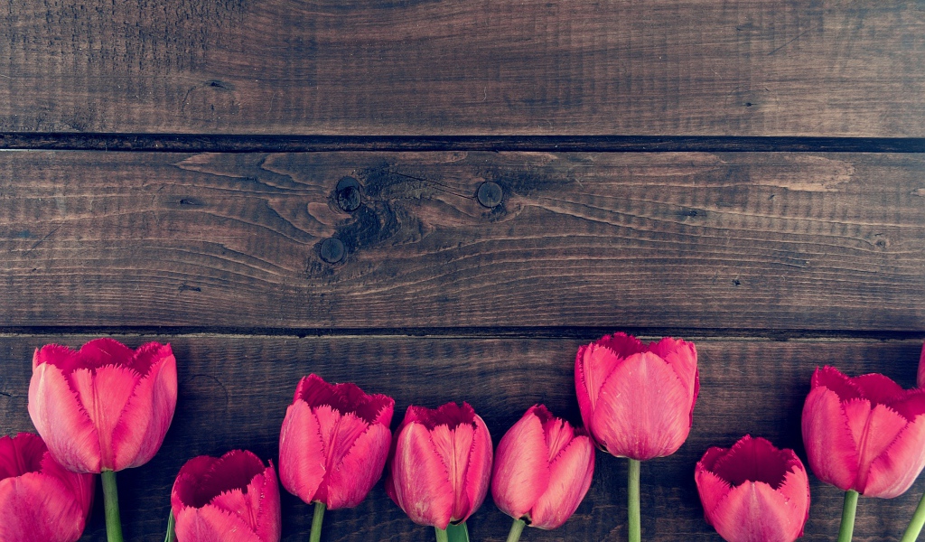 Розовые цветы тюльпана на деревянном столе 