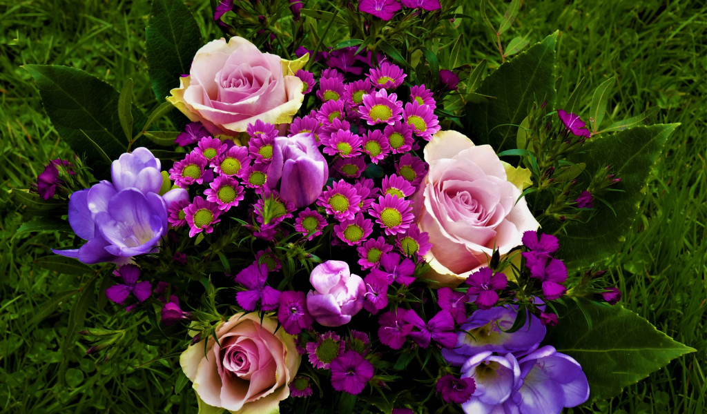 Розы, крокусы и хризантемы на зеленой траве