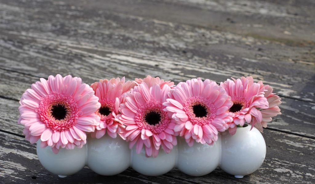 Маленькие розовые цветы герберы в белых вазах
