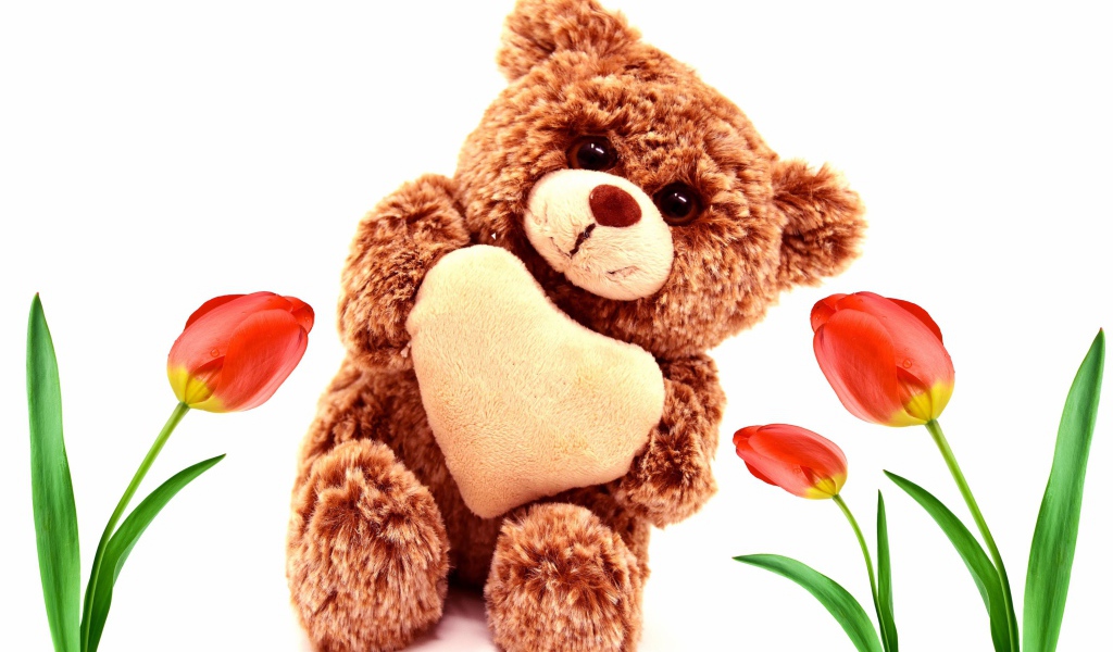 Игрушка медвежонок с красными тюльпанами на белом фоне
