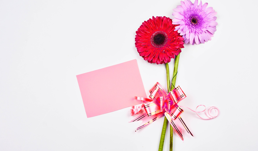 Два цветка герберы на столе с бантом и листом бумаги