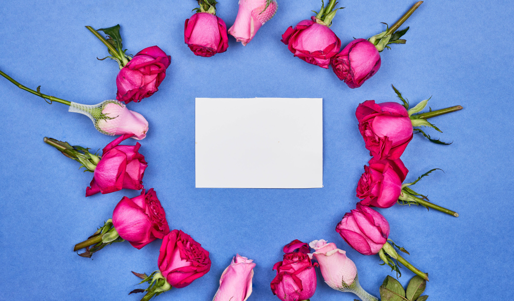 Белый лист бумаги с розами на голубом фоне