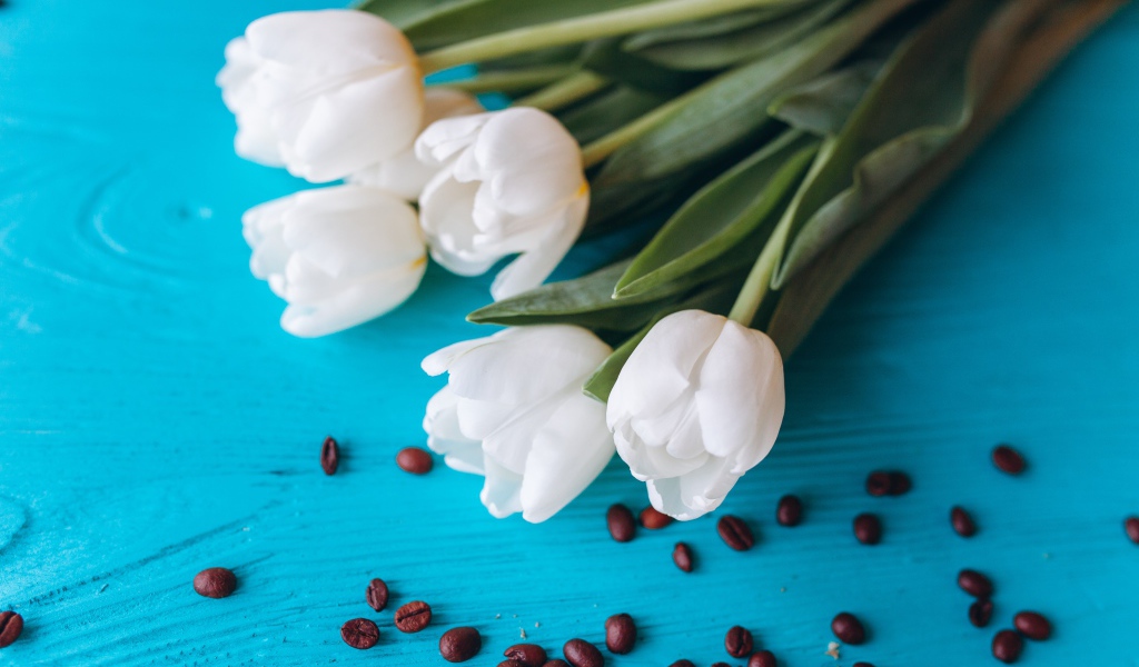 Белые тюльпаны на голубом столе с кофейными зернами