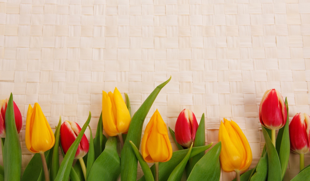 Желтые и красные тюльпаны на плетеном фоне