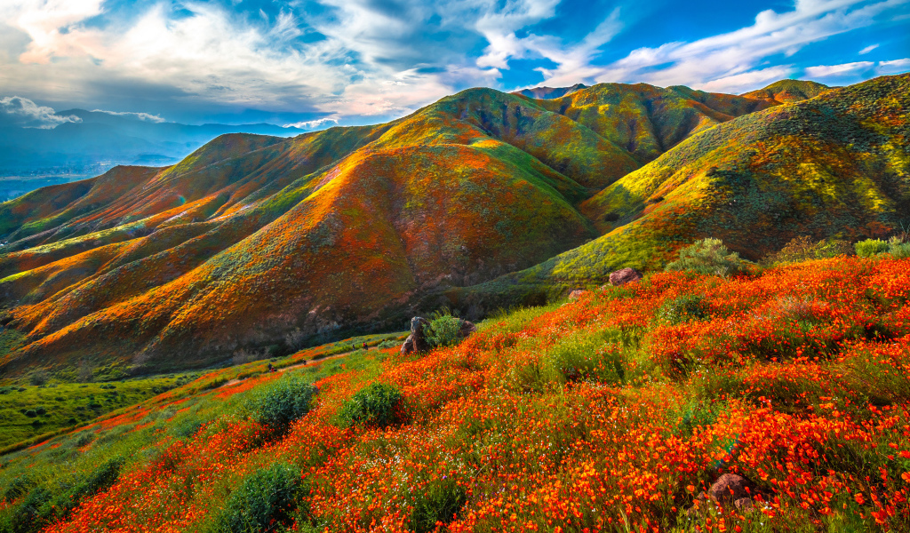 Красивая разноцветная гора под красивым голубым небом 