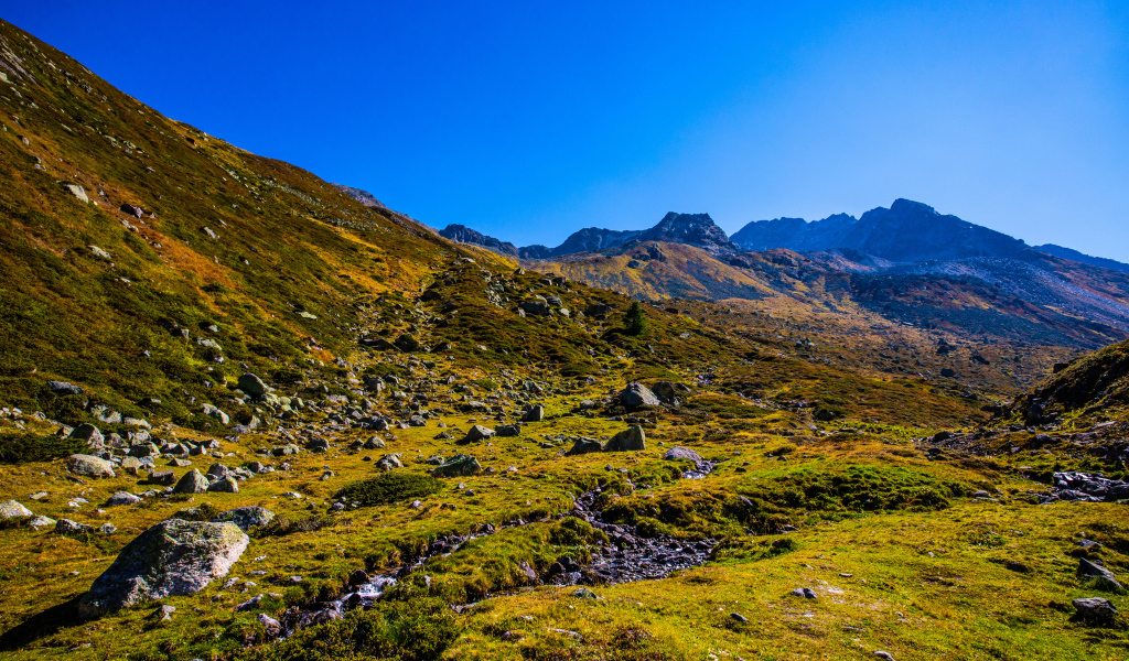 Зеленая трава на склоне горы под голубым небом 