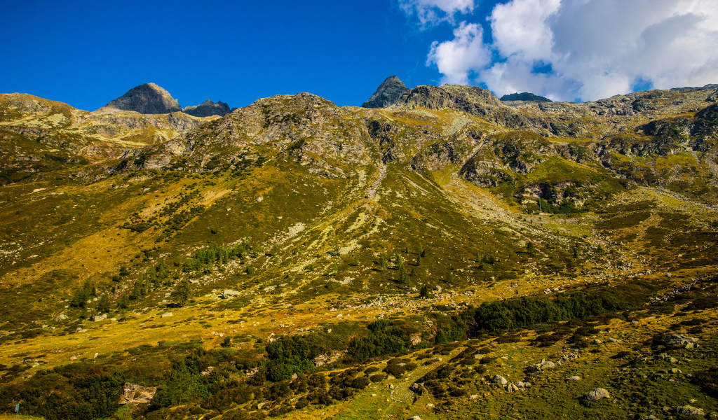 Покрытые зеленью Швейцарские альпы под голубым небом