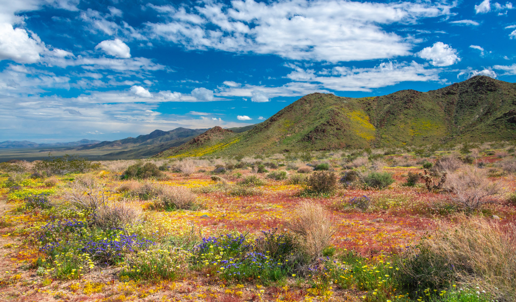 Высокие горы в национальном парке под голубым небом