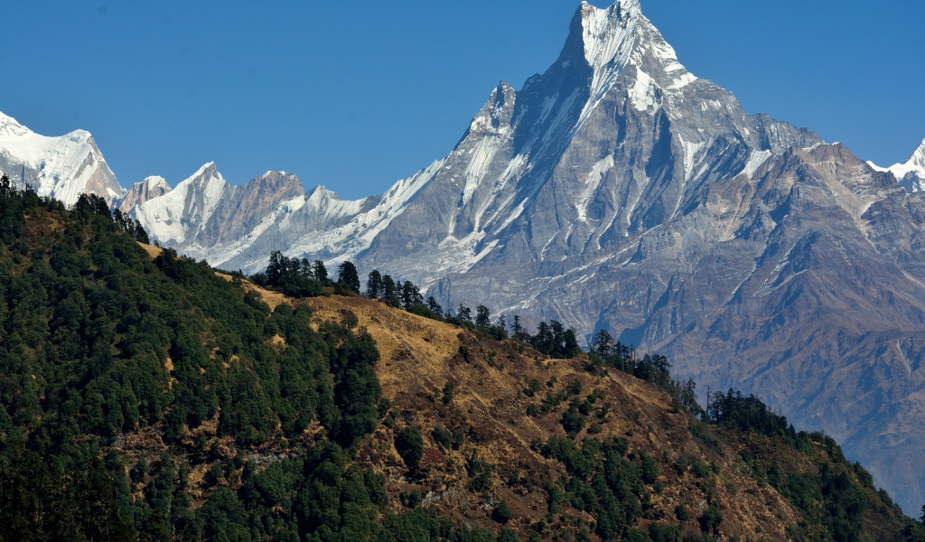 Красивый вид на острую заснеженную вершину горы