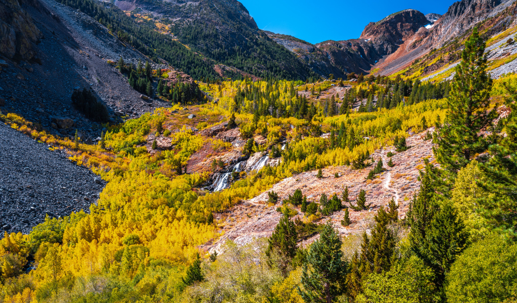 Вид на живописный каньон в США 