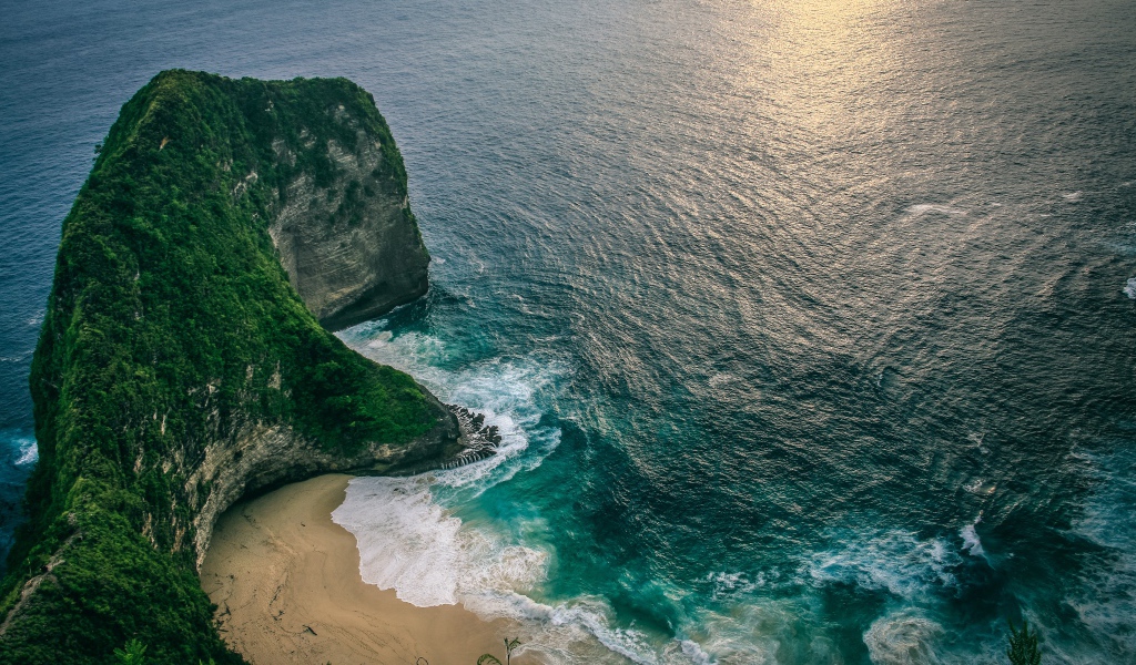 Утес покрытый зелеными  растениями на берегу моря 