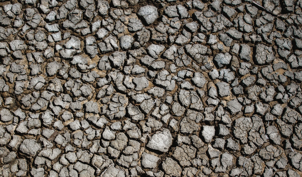Потрескавшаяся после засухи земля 