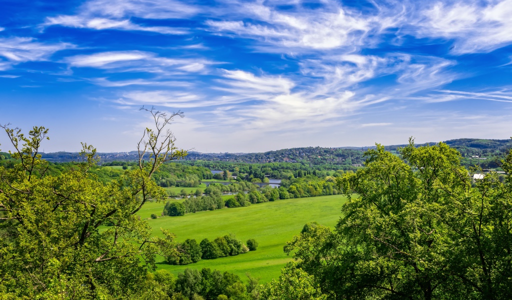 Красивый вид на зеленые холмы под голубым небом летом