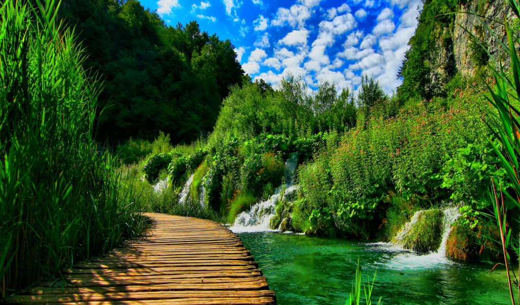 Деревянный мост в живописном зеленом лесу с водопадами