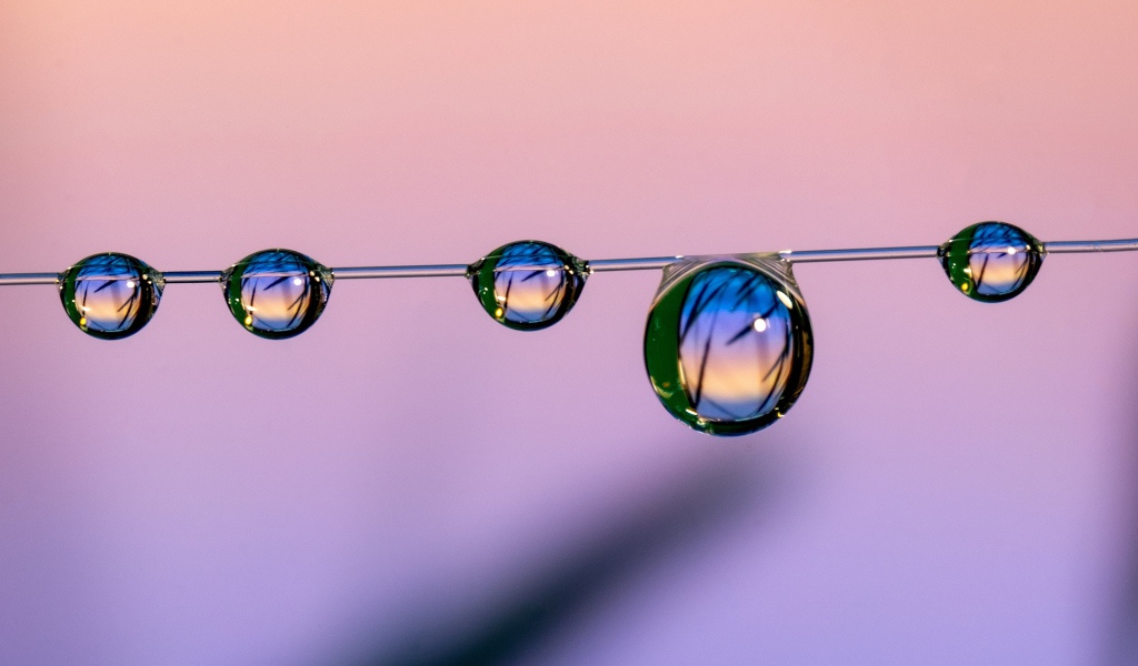 Капли воды на тонкой леске на розовом фоне