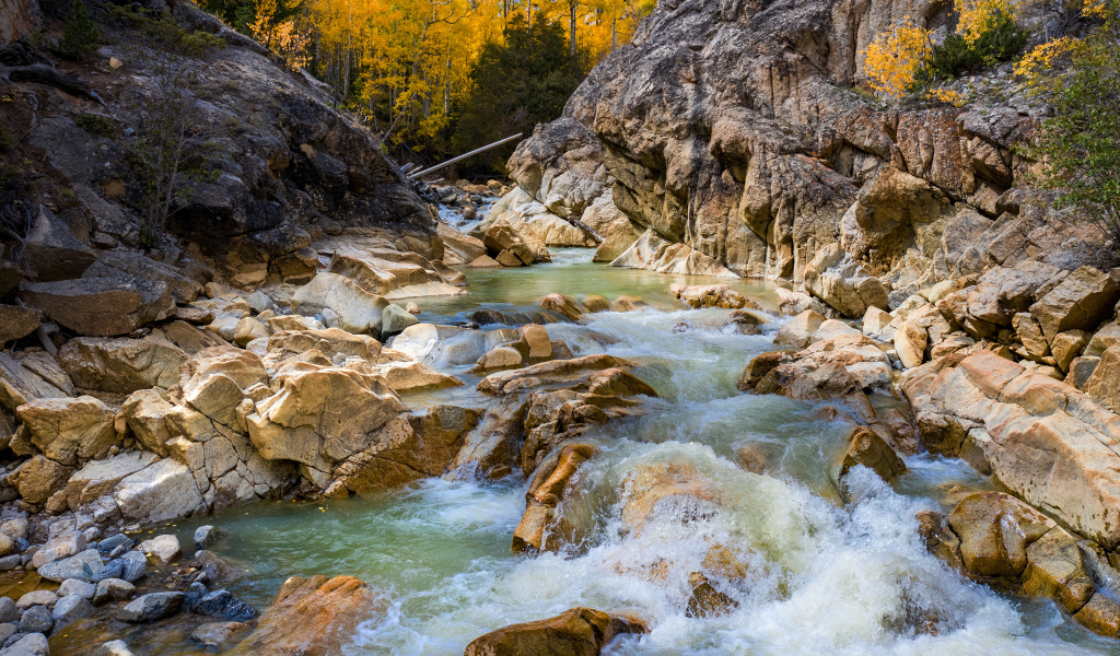 Быстрая холодная горная река бежит по камням