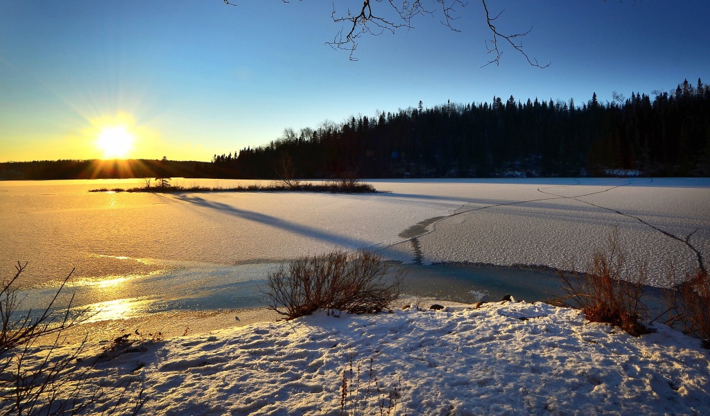 Покрытая льдом река в лучах солнца у леса 