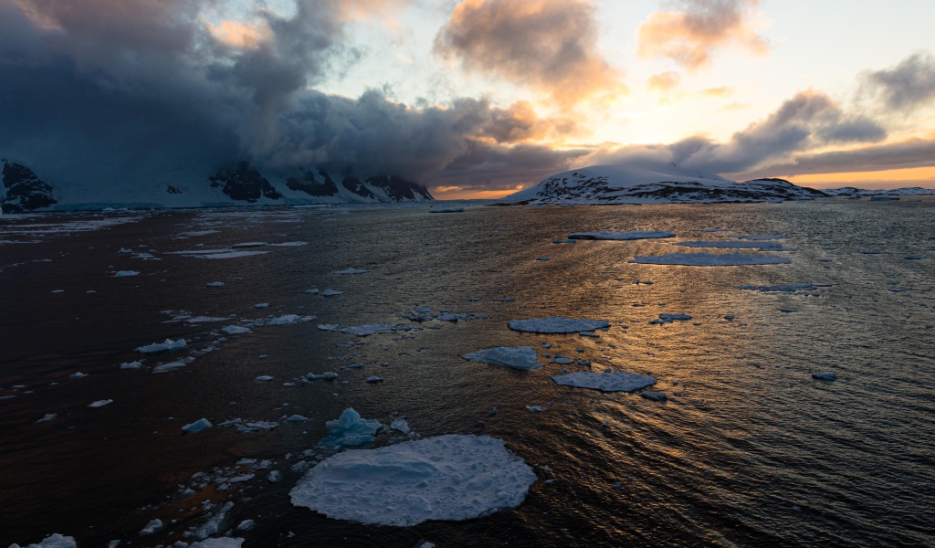 Льдины в воде у покрытых снегом гор в тумане