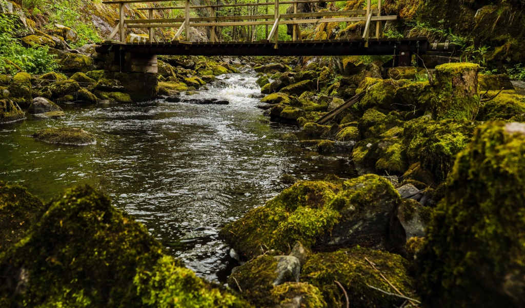 Покрытые мхом камни в реке под мостом
